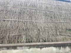 -燊海井