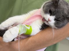 -达爱动物医院·犬猫分区·CT·复杂眼科(远洋山水分院)