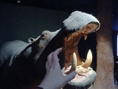 -天津自然博物馆