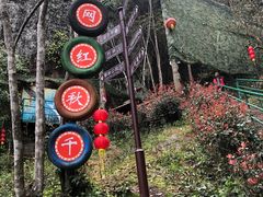 -修水东浒寨风景区
