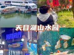 -天目湖山水园