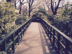 三鷹の森&nbsp;ジブリ美術館-三鹰之森吉卜力美术馆