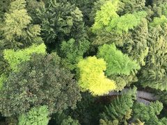 -藏龙百瀑风景区