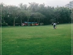 -海棠湾洲际-涛·海底餐厅·美人鱼·自助餐·海底隧道