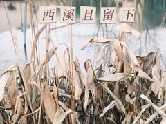 -西溪国家湿地公园