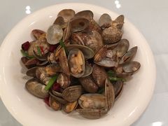 -印象高密·凤都国际大酒店