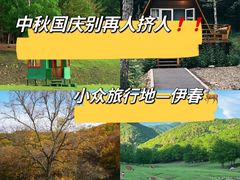 -汤旺河林海奇石景区