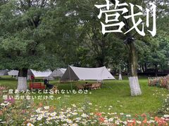 -秀丽东方