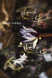 -CHOCO-启蔻婚礼(三亚公司)