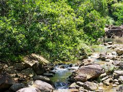 -广州白江湖森林公园