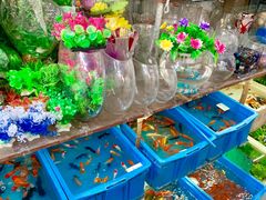 -万商花鸟市场