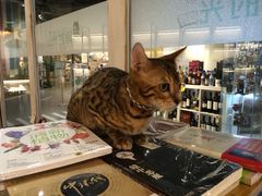 iphone_upload_pic-小时光咖啡馆(开森度假森林店)