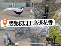 -北京市海淀外国语实验学校