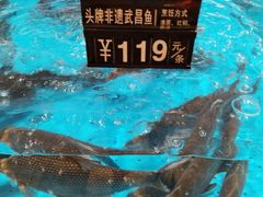 -艳阳天·非遗楚菜(武汉客厅店)