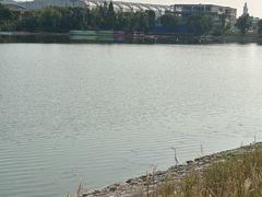 -羊山湖公园