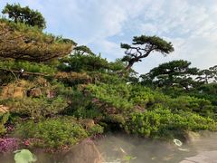 -罗红摄影艺术馆