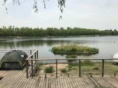 -翠湖国家城市湿地公园
