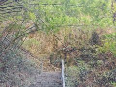 -楠溪江风景名胜区