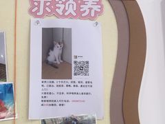 -顺强宠物诊所·狂犬免疫·夜诊·骨科(嘉定店)