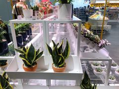 -KKV(深圳宏发大仟里店)