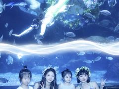 -南昌海洋公园