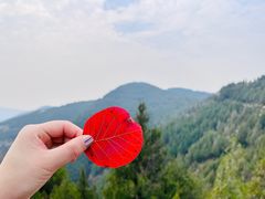 -龙洞风景区-藏龙涧