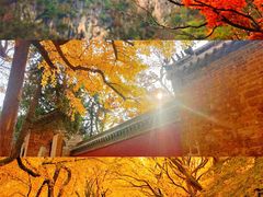 -沉浸北京·团建旅行·密室剧本杀·年会会议轰趴拓展