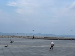 -东港音乐喷泉广场