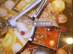 -野妹火锅(南园店)