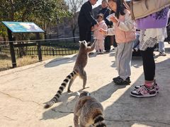 -杭州野生动物世界