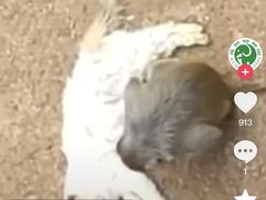 -昆明动物园