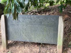 -雨花胜境