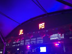-阜阳站