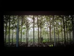 -武汉华夏国际影城(鲁广店)