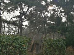 -贮水山儿童公园