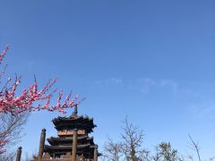 -杭州半山国家森林公园