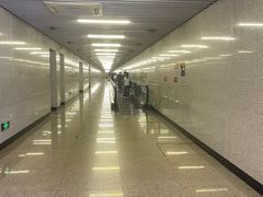 -中国人民解放军总医院