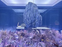 -江宁织造博物馆