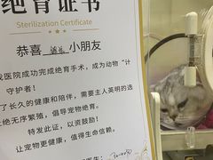 -瑞鹏宠物医院·爱宠堂(环西分院)