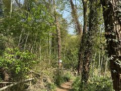 -南山风景名胜区
