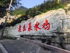 -老幺泉水鸡