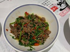 香菜炒牛肉-壹盏灯(惠农店)