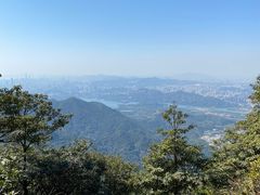 -梧桐山风景名胜区