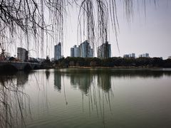 -梅园
