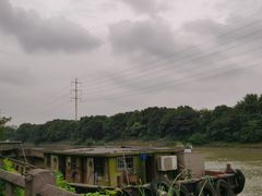 -运河游船(武林门码头)