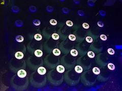 -温莎KTV(珠江路店)