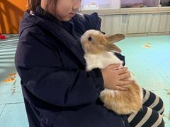 -嘉兴海底世界