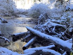 -正宗八宝冰饭·非遗冰饭·烧烤(奎桥店)