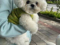 -南翔镇银翔湖公园