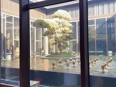 -上海崇明金茂凯悦酒店